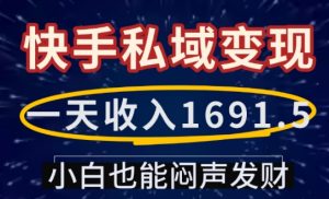 一天收入1691.5,快手私域变现,小白也能闷声发财-大齐资源站