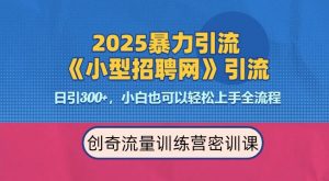 2025最新暴力引流方法,招聘平台一天引流300+,日变现多张,专业人士力荐-大齐资源站