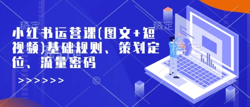 小红书运营课(图文+短视频)基础规则、策划定位、流量密码-大齐资源站