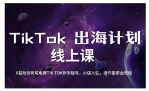 TikTok跨境电商新手起号与运营全攻略，0基础做跨境电商TIKTOK新手起号，小店入驻，操作指南全流程-大齐资源站