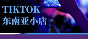 Tiktok东南亚跨境小店运营班，一门专业的TK小店运营培训课-大齐资源站