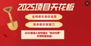 2025项目天花板普通人如何通过知识付费，实现财F自由【揭秘】-大齐资源站
