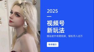 搬运老外奇葩视频，撸视频号分成计划收益，每天只需一小时，新手小白轻松月入过W-大齐资源站