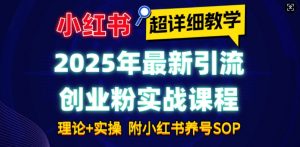 2025年最新小红书引流创业粉实战课程【超详细教学】小白轻松上手，月入1W+，附小红书养号SOP-大齐资源站