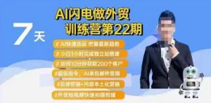 AI闪电做外贸训练营第22期：Al快速选品+小白1小时完成独立站搭建+10分钟获取200个客户等-大齐资源站