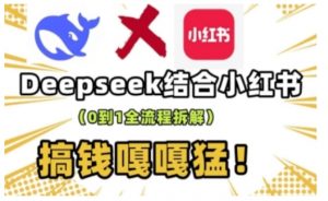 deepseek+小红书打造流量生产线实操课,0到1全流程拆解,搞钱嘎嘎猛-大齐资源站