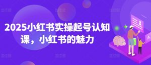 2025小红书实操起号认知课，小红书的魅力-大齐资源站