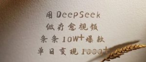 用DeepSeek做疗愈视频,条条10W+爆款,单日变现多张-大齐资源站