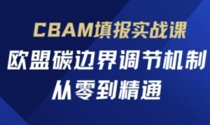 CBAM填报实战课，欧盟碳边界调节机制，从零到精通-大齐资源站
