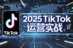 2025TikTok电商运营，掌握TikTok店铺运营核心技巧，实现低成本高转化-大齐资源站
