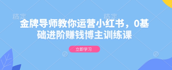 金牌导师教你运营小红书，0基础进阶赚钱博主训练课-大齐资源站