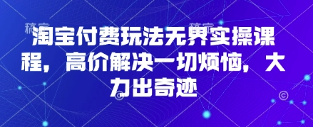 淘宝付费玩法无界实操课程，高价解决一切烦恼，大力出奇迹-大齐资源站