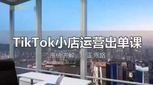 TikTok小店运营出单课，从开店选品、运营出单、发货回款，进行全流程讲解-大齐资源站