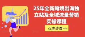 25年全新跨境出海独立站及全域流量营销实操课程，跨境电商独立站TIKTOK全域营销普货特货玩法大全-大齐资源站