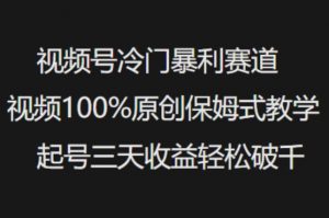 视频号冷门暴利赛道视频100%原创保姆式教学起号三天收益轻松破千-大齐资源站