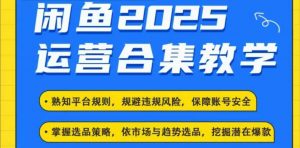 2025闲鱼电商运营全集，2025最新咸鱼玩法-大齐资源站