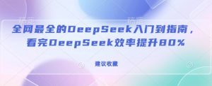 全网最全的DeepSeek入门到指南，看完DeepSeek效率提升80%(建议收藏)-大齐资源站