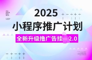 2025小程序推广计划，全新升级撸广告挂JI2.0玩法，日入多张，小白可做【揭秘】-大齐资源站