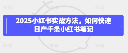 2025小红书实战方法，如何快速日产千条小红书笔记-大齐资源站