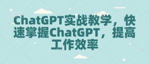ChatGPT实战教学，快速掌握ChatGPT，提高工作效率-大齐资源站