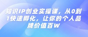 知识IP创业实操课,从0到1快速孵化,让你的个人品牌价值百W-大齐资源站