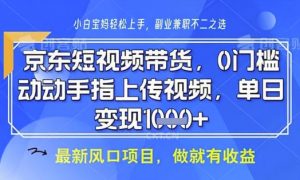 京东短视频代运营,不需要拍剪视频,不需要直播,全程喂饭,小白轻松上手,稳定月入8k【揭秘】-大齐资源站