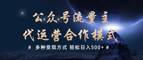 公众号流量主代运营  多种变现方式 轻松日入5张【揭秘】-大齐资源站