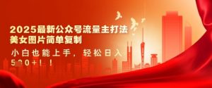 2025最新公众号流量主打法，美女图片简单复制，小白也能上手，轻松日入5张-大齐资源站