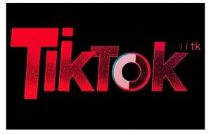 TikTok ads投流秘籍，涵盖tiktok整体投放思路，教你搭建测试计划-大齐资源站