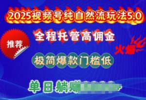 2025视频号纯自然流玩法5.0，全程托管高佣金，极简爆款门槛低，单日收益多张【揭秘】-大齐资源站