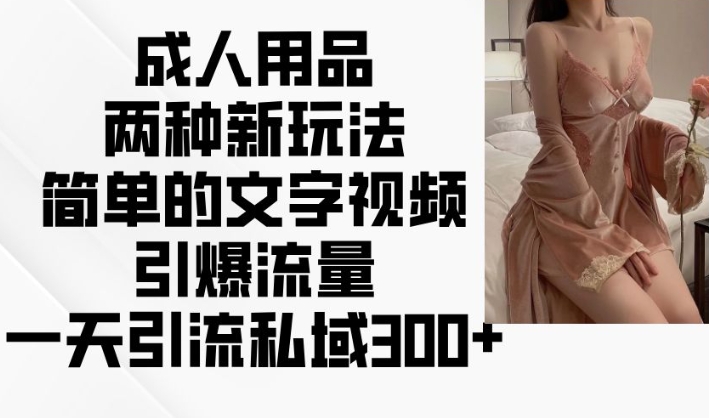 成人用品两种新玩法，简单的文字视频引爆流量，一天引流私域300+-大齐资源站