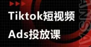 Ads视频投放课,tiktok短视频广告投放课-大齐资源站