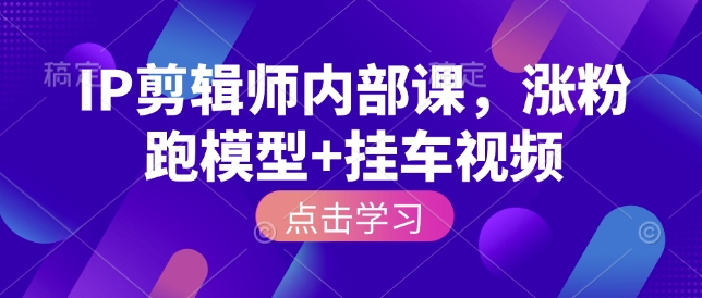 IP剪辑师内部课，涨粉跑模型+挂车视频-大齐资源站