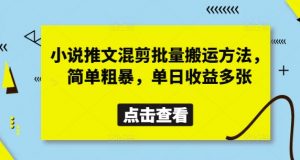 小说推文混剪批量搬运方法，简单粗暴，单日收益多张-大齐资源站