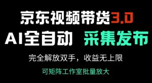 京东视频带货3.0，Ai全自动采集+自动发布，完全解放双手，收入无上限-大齐资源站
