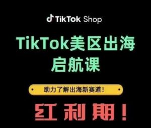 TikTok出海启航课(美区)助力了解出海红利新赛道-大齐资源站