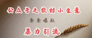 deepseek写农村小项目，条条爆款，暴力引流-大齐资源站