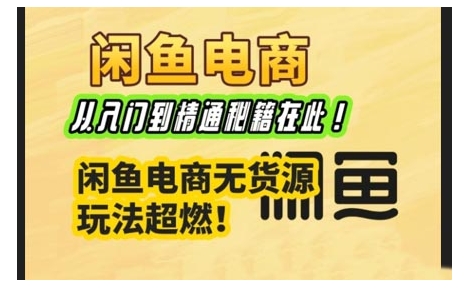 闲鱼电商实战课，从入门到精通秘籍在此，闲鱼电商无货源玩法超燃!-大齐资源站
