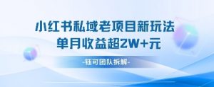 小红书私域项目新玩法，单月变现过W+-大齐资源站