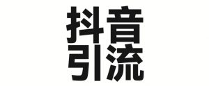 2025年抖音最新暴力引流法，只需一个视频加一段文字，简单操作，单日引300+创业粉-大齐资源站