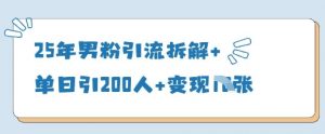 25年男粉引流拆解+单日引200人+变现多张-大齐资源站