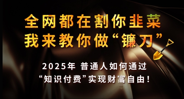 全网都在割你韭菜，我来教你做镰刀，2025年普通人如何通过 知识付费 实现财F自由【揭秘】-大齐资源站