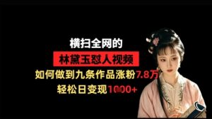 横扫全网的林黛玉怼人视频，如何做到九条作品涨粉7.8万，轻松日变现1k-大齐资源站