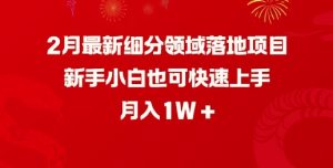 2月最新细分领域落地项目，新手小白也可快速上手，月入1W-大齐资源站