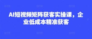 AI短视频矩阵获客实操课,企业低成本精准获客-大齐资源站