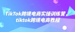 TikTok跨境电商实操训练营，tiktok跨境电商教程-大齐资源站