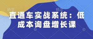 直通车实战系统：低成本询盘增长课，让个人通过技能实现升职加薪，让企业低成本获客，订单源源不断-大齐资源站