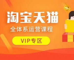 淘宝天猫全体系运营课程：店铺全系运营、动销玩法、付费推广、流量提升、擦边球玩法等等-大齐资源站