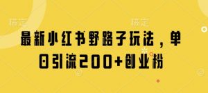 最新小红书野路子玩法，单日引流200+创业粉-大齐资源站
