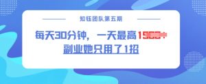 副业她只用了1招,每天30分钟,无脑二创,一天最高1.5k-大齐资源站